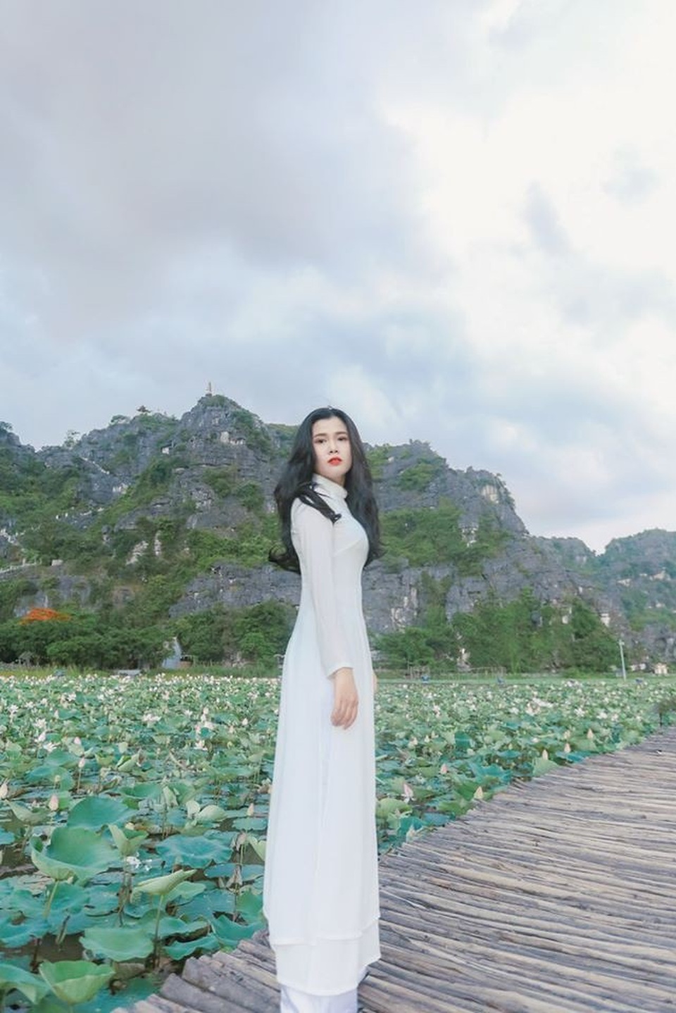 Phượng mọc giữa nhà gỗ, hồ sen nở rộ gây sốt ở “thánh địa sống ảo“ - 6 Phượng mọc giữa nhà gỗ, hồ sen nở rộ gây sốt ở “thánh địa sống ảo“ - 6