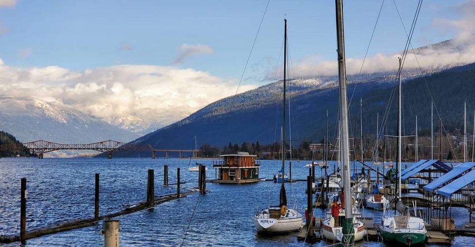 Bố đơn thân xây biệt thự nổi, trồng hoa tuyệt đẹp trên hồ sống cùng hai con - 11