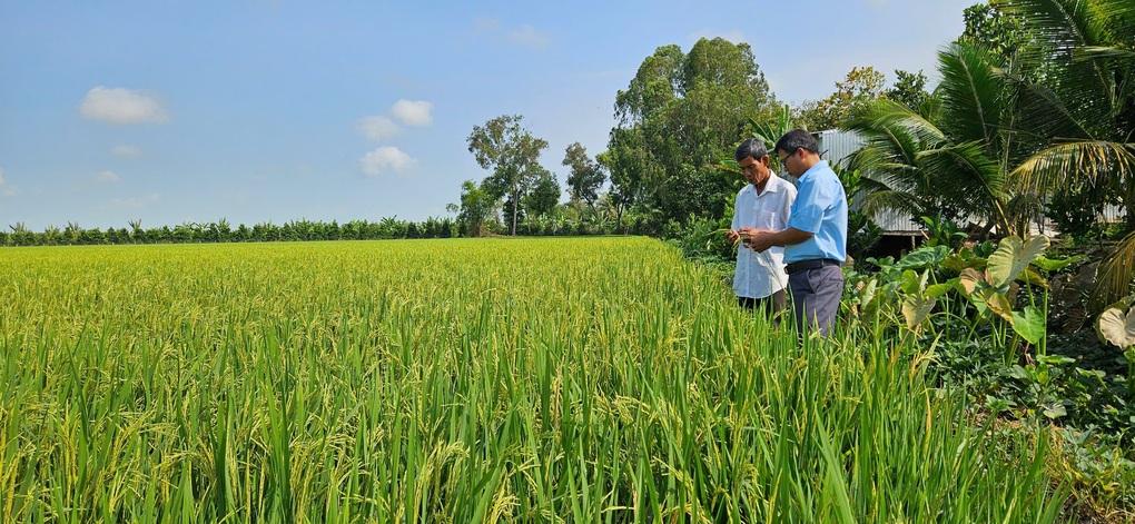 Đồng Tháp: Từ “Làng thông minh” đến nền nông nghiệp hiện đại - 1