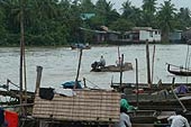 Tôm cá đang bị hủy diệt!