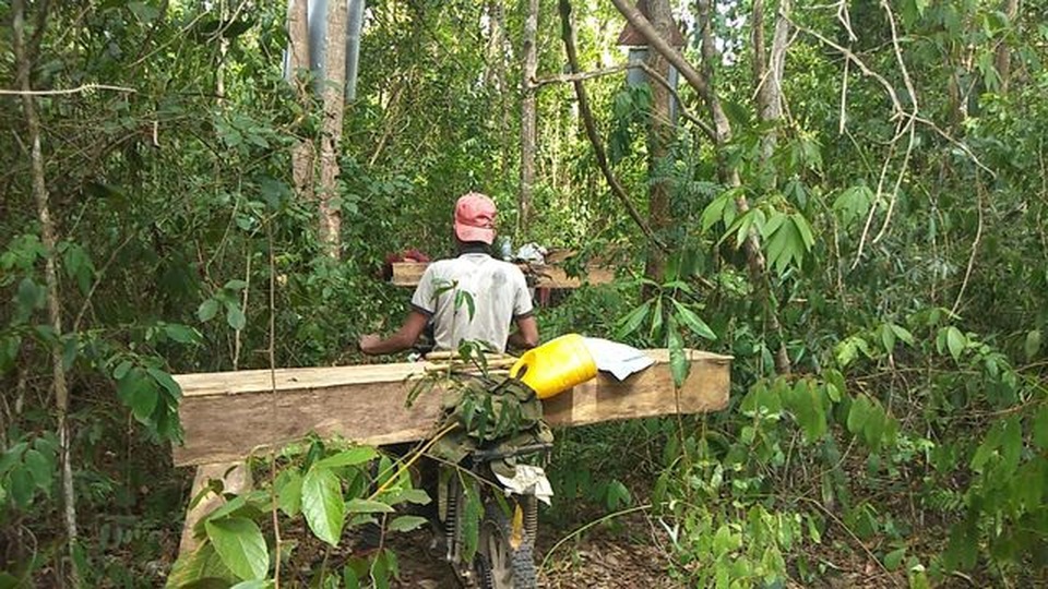 Tiếng thét đau đớn của rừng xanh Tây Nguyên: Lâm tặc, cán bộ cùng thoát tù - 2 Tiếng thét đau đớn của rừng xanh Tây Nguyên: Lâm tặc, cán bộ cùng thoát tù - 2