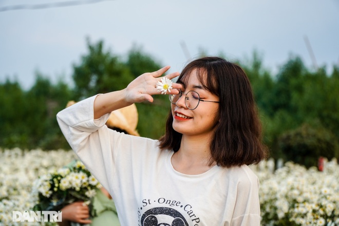 Nhiếp ảnh gia bó tay trước cảnh chen chân trong vườn cúc hoạ mi ở Hà Nội - 13 Nhiếp ảnh gia bó tay trước cảnh chen chân trong vườn cúc hoạ mi ở Hà Nội - 13