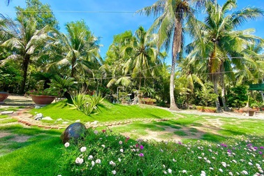 Chàng trai Tiền Giang cải tạo đất trống thành vườn 200m2 chỉ 10 triệu đồng