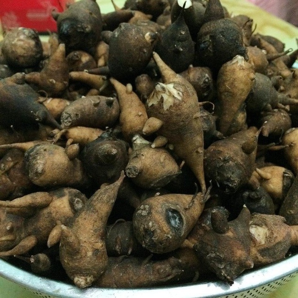 Kỳ lạ món cháo có độc chỉ ăn buổi tối, vị đắng ngắt ở Hà Giang - 1 Kỳ lạ món cháo có độc chỉ ăn buổi tối, vị đắng ngắt ở Hà Giang - 1