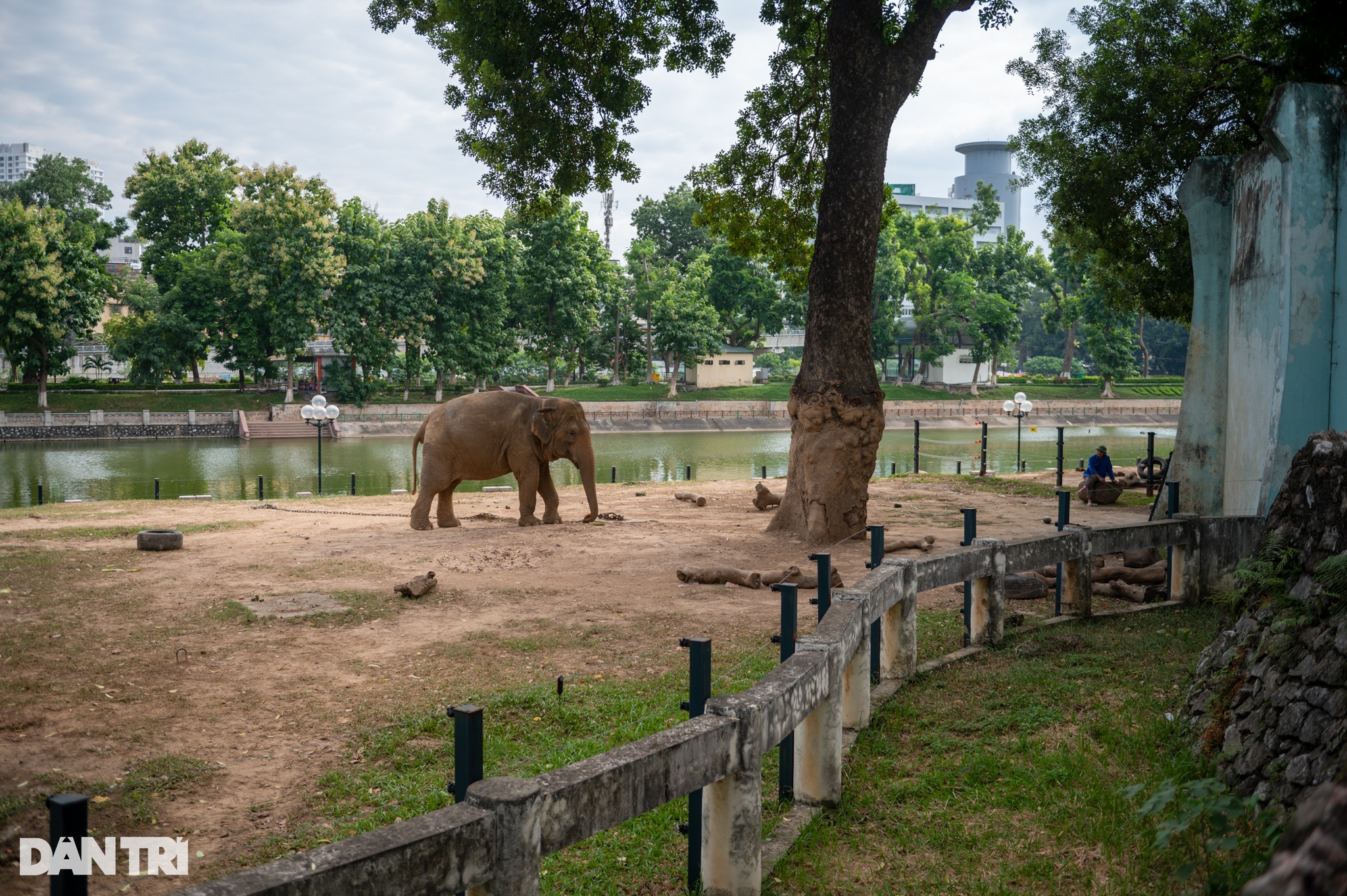 Hiện trạng ba công viên ở Hà Nội được đầu tư gần 900 tỷ đồng cải tạo - 1