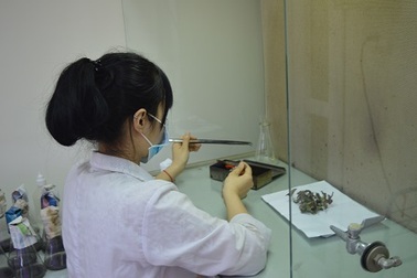 Xây dựng 3 trung tâm công nghệ sinh học cấp quốc gia