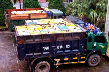 Bắt 10 tấn gà thải Trung Quốc định "tuồn" vào nội địa