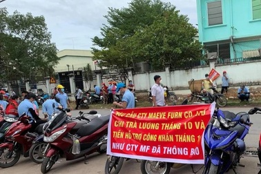 Công nhân ngưng việc tập thể vì không được hỗ trợ 1,8 triệu đồng/người