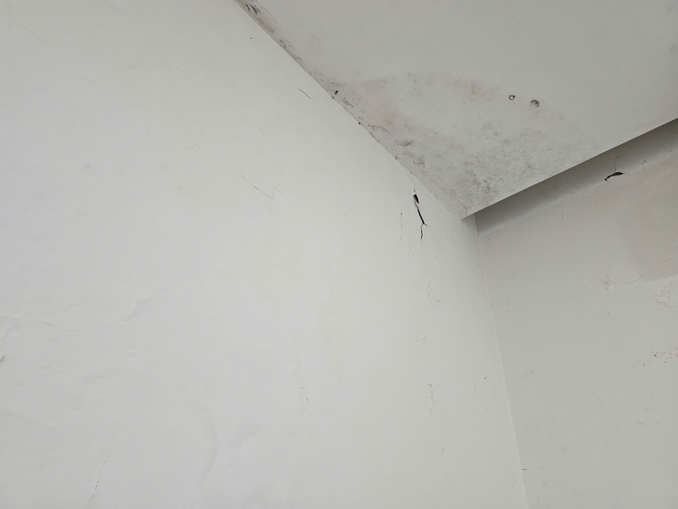 5 dấu hiệu cho thấy nhà bạn đang cần máy hút ẩm càng sớm càng tốt - 1 5 dấu hiệu cho thấy nhà bạn đang cần máy hút ẩm càng sớm càng tốt - 1