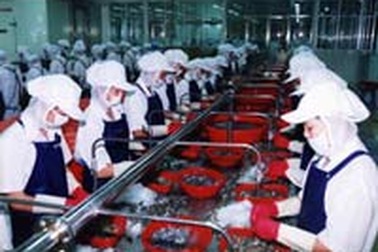 Kim ngạch xuất khẩu thuỷ sản đạt gần 2,5 tỷ USD