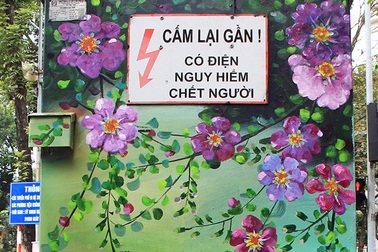 Những tủ điện “nở hoa” ở Hà Nội