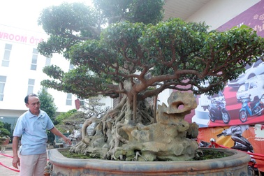 Độc đáo sanh cổ hình thuyền rồng của vua Lý Thái Tổ trả 6 tỷ đồng không bán