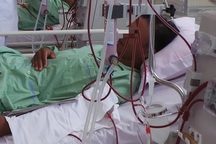 Ăn mật cá éc nam bệnh nhân suy thận cấp