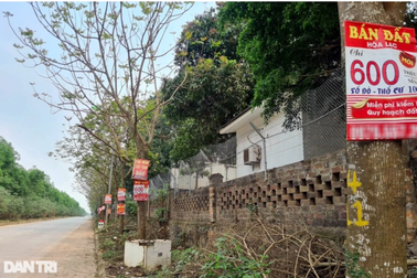 "Sốt" đất hạ nhiệt, nhà đầu tư âm thầm cắt lỗ