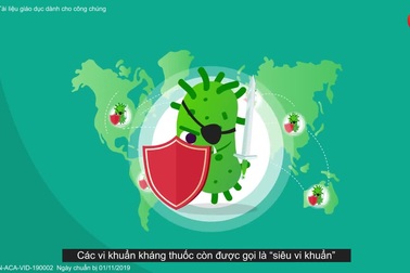 Sử dụng kháng sinh và những điều cần lưu ý