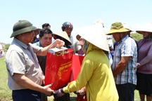 Thủ tướng ra đồng thăm bà con vùng hạn hán Ninh Thuận