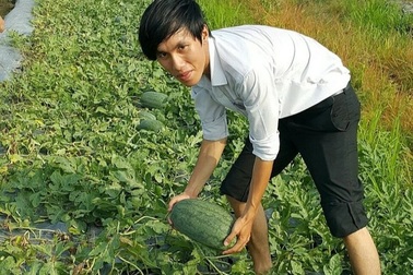 Làm chủ công nghệ sản xuất hạt giống giúp tiết kiệm hàng chục tỷ đồng