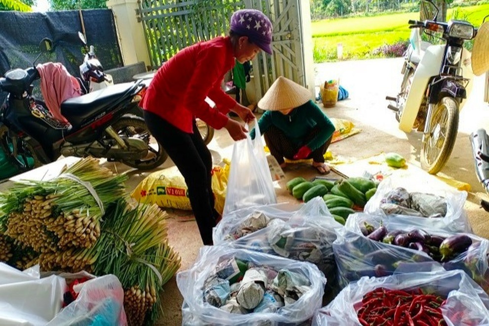 Bà con Bình Định gom từng bó rau, quả trứng… gửi vào TPHCM thân yêu - 1 Bà con Bình Định gom từng bó rau, quả trứng… gửi vào TPHCM thân yêu - 1