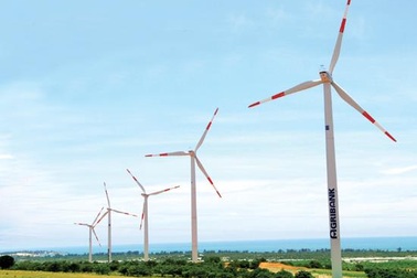 Giá rẻ, thiếu cạnh tranh, điện tái tạo Việt Nam khó bứt phá