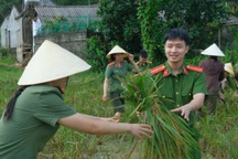 Công an, biên phòng giúp dân gặt lúa “chạy” siêu bão Ragasa