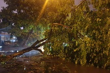 Bão số 3 suy yếu thành áp thấp nhiệt đới, Bắc Bộ mưa to đến rất to