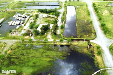 Diễn biến mới vụ nợ 1.000 sổ đỏ: Chủ đầu tư và nhà phân phối đã đàm phán