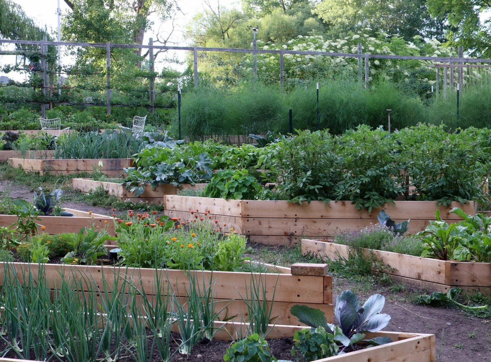 Vợ chồng đưa con ra ngoại thành làm vườn 500m2 quy hoạch ấn tượng - 3