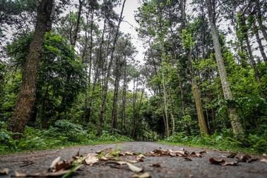 Xây dựng trường ĐH Lâm Nghiệp trở thành trung tâm khoa học ứng dụng công nghệ cao