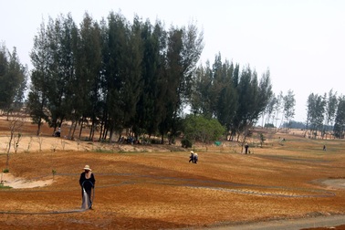 Vụ phá rừng làm sân golf: Doanh nghiệp xin triển khai tiếp một số hạng mục