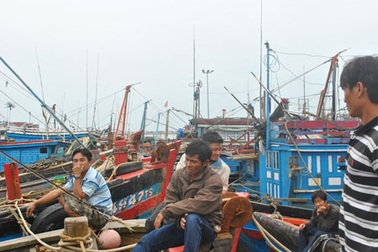 Cảng tiền tỉ “bẫy” tàu thuyền, cảng phụ khổ vì quá tải 