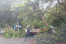 Clip: Người, xe bị gió bão thổi bay ở Huế