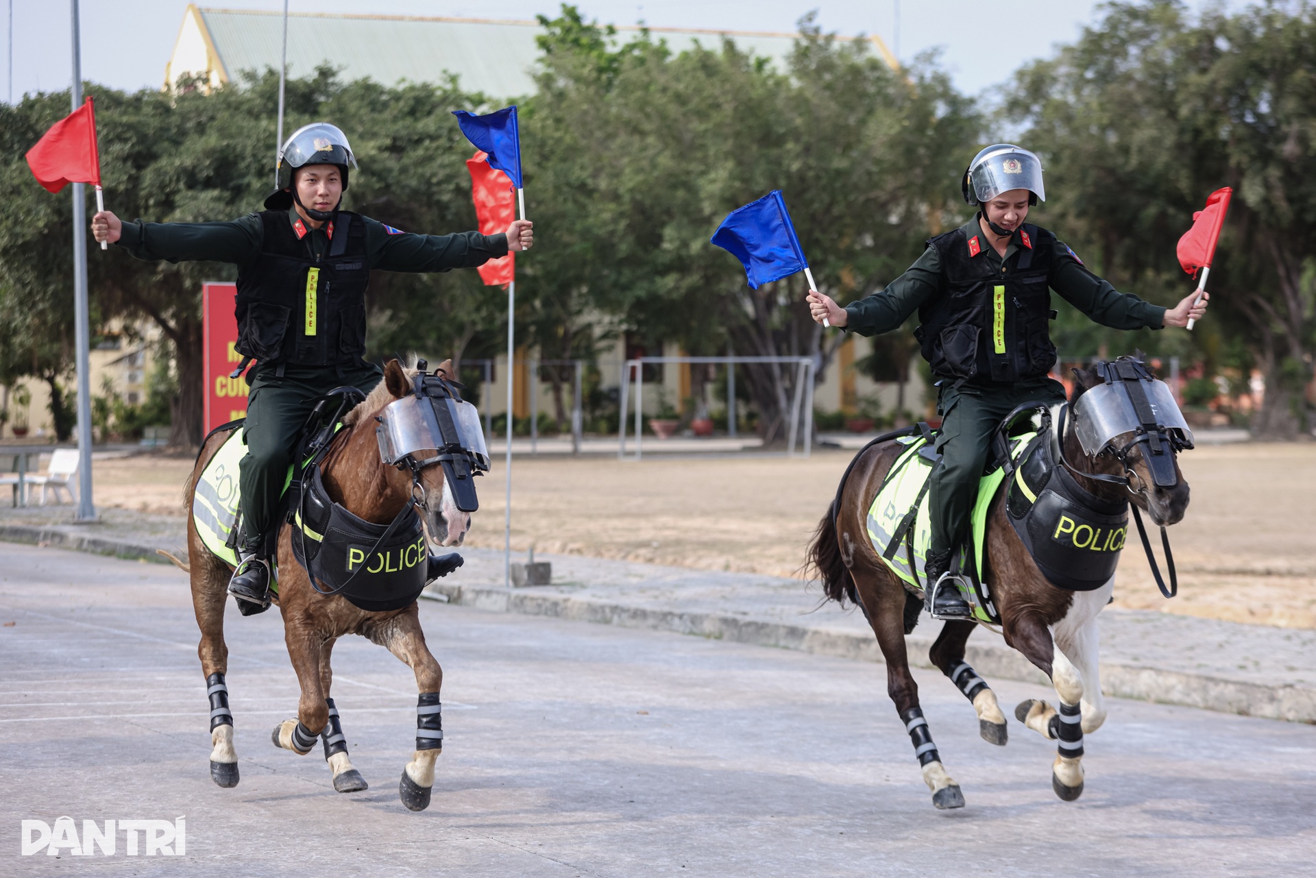 Kỵ binh ngày đêm khổ luyện cho dịp kỷ niệm Ngày Thống nhất đất nước 30/4 - 8 Kỵ binh ngày đêm khổ luyện cho dịp kỷ niệm Ngày Thống nhất đất nước 30/4 - 8