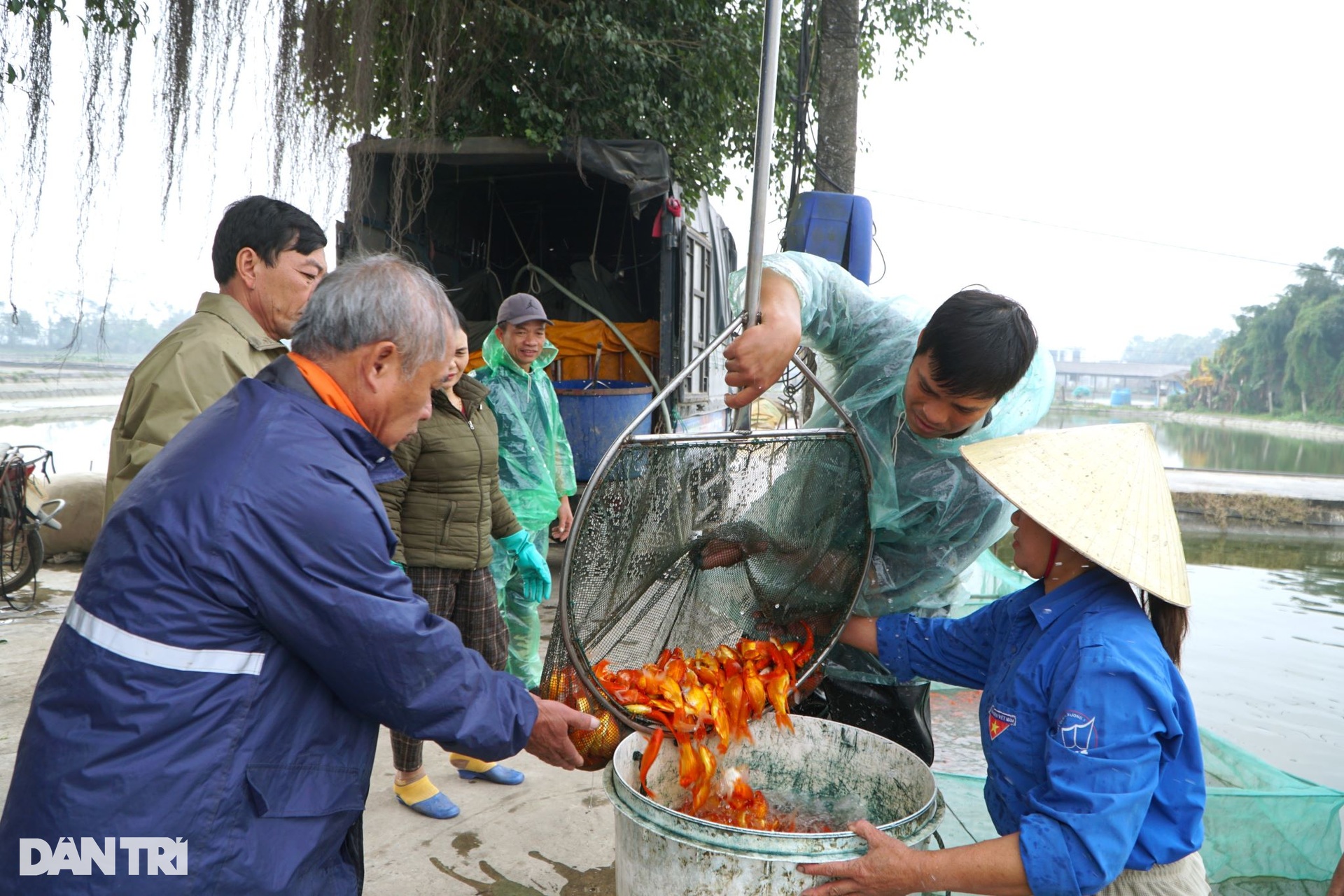 Cất mẻ lưới lớn nhất năm, kiếm trăm triệu đồng dịp Tết ông Công ông Táo - 7 Cất mẻ lưới lớn nhất năm, kiếm trăm triệu đồng dịp Tết ông Công ông Táo - 7