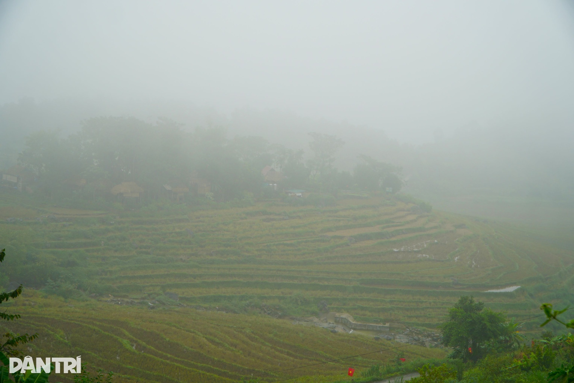Ngắm bản làng Pù Luông trong làn sương mù mờ ảo - 5 Ngắm bản làng Pù Luông trong làn sương mù mờ ảo - 5