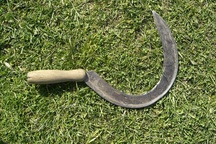 Đòi tiền không được, tấn công con nợ qua cửa sổ