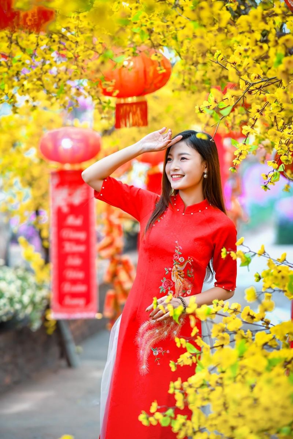 Á khôi Tài sắc Việt Nam rạng ngời chào đón mùa Xuân - 3 Á khôi Tài sắc Việt Nam rạng ngời chào đón mùa Xuân - 3