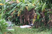 Tá hỏa phát hiện thi thể người đàn ông trong bụi chuối