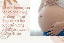 Lao động nữ cứ mang thai là xin đi làm, nộp bảo hiểm 6 tháng rồi... nghỉ đẻ