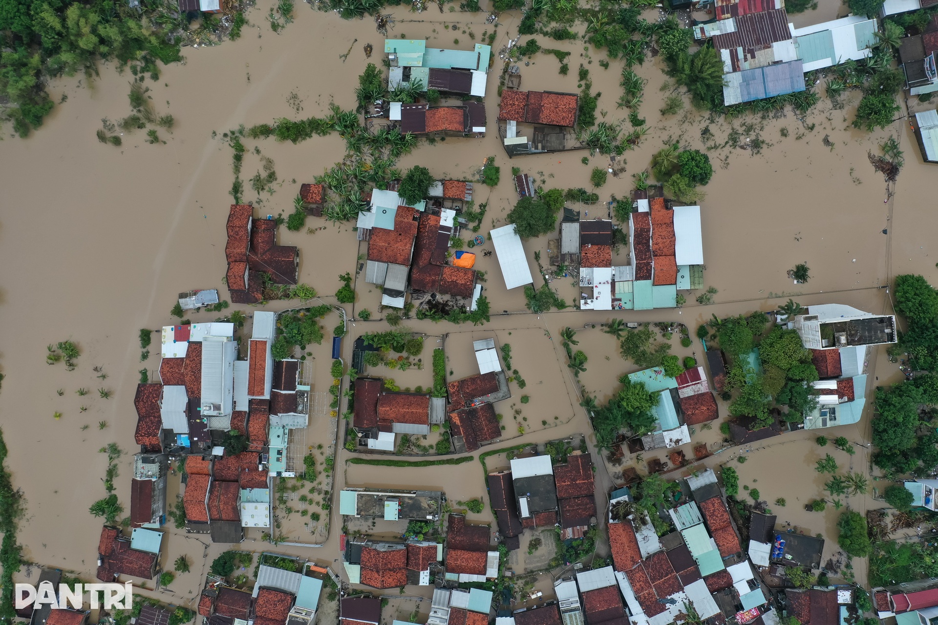 Ngày thứ ba vùng lũ Phú Yên oằn mình giữa biển nước mênh mông - 4