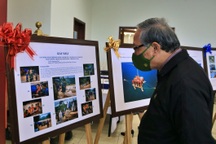 Hội Nhà báo Việt Nam trao giải ấn phẩm báo chí tiêu biểu