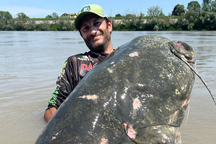 Cá da trơn khổng lồ dài gần 3m vật lộn với cần thủ suốt 40 phút trên sông