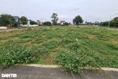 "Không gì giàu bằng buôn đất"?