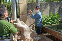 Bắt "siêu trộm" chuyên phá két sắt khoắng hàng trăm triệu đồng