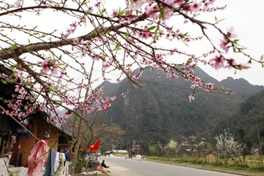 Bạt ngàn sắc hoa vùng biên viễn