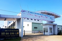 Cần 300 tỉ đồng để khôi phục nhà máy sô đa Chu Lai?