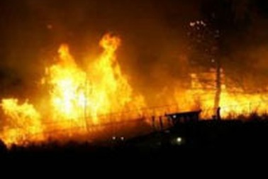 Cháy rừng ở Tây Ban Nha, 14 lính cứu hoả thiệt mạng