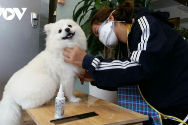 Chuyện của những người chuyên làm đẹp online cho… chó