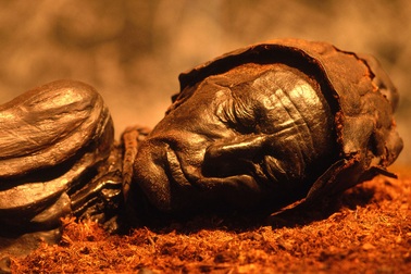 Rùng mình ghé thăm những bảo tàng xác ướp