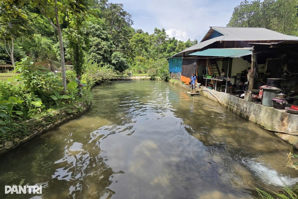 Lão nông chỉ học hết lớp 3, thành đại gia nhờ nhân giống loài cá đặc sản - 4 Lão nông chỉ học hết lớp 3, thành đại gia nhờ nhân giống loài cá đặc sản - 4