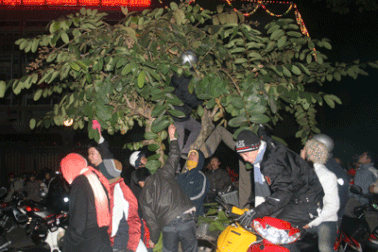 Đêm giao thừa cùng 2 câu chuyện môi trường